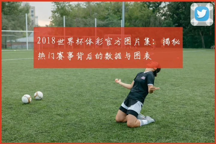 2018世界杯体彩官方图片集：揭秘热门赛事背后的数据与图表