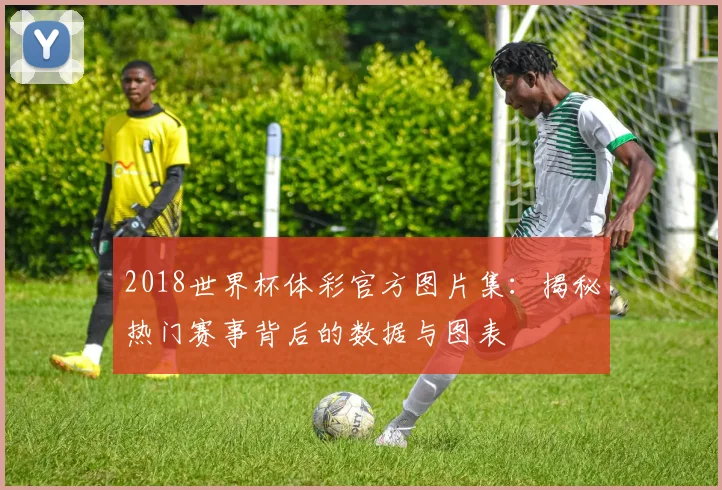 2018世界杯体彩官方图片集：揭秘热门赛事背后的数据与图表